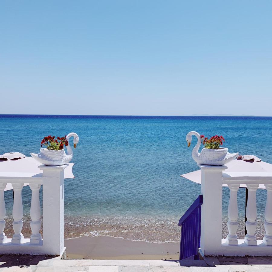 Potokaki Beachfront Hotel Πυθαγόρειο Εξωτερικό φωτογραφία